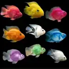 مطلوب سمك parrot زينة كبير