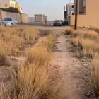 ارض في تنميه مساحة 450 مطلوب 300 الف