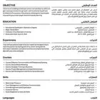 سيرتك الذاتيه لغتين ب20 ريال لحق خبره 3 سنوات