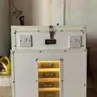فقاسه بيض
