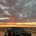 مطلوب فتك ربع