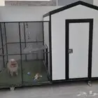 غرفة كلب مكيفة مع حوش خارجي