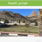 ارض للبيع محافظة تنومة