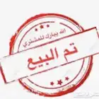 تيس بيشي ذبيحه ثلاجه ( تم البيع )