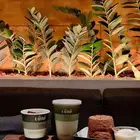 تصوير منتجات ومطاعم وكوفيهات