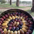 بقلاوة