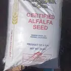 بذور برسيم كالفورنيا كاف 101 واحد تسليم وادي الدواسر