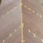 قشور طبيعية وصناعية