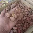 يوجد تمر خلاص حوالي 50كرتون مقمع