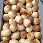 برحي الأحساء وهلالي الأحساء