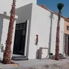 نخل واشنطنيا زينه وملوكي وجوز الهند