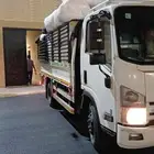 ديان  مشواير داخل وخارجها