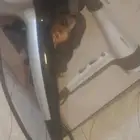 استشوار شعر