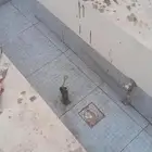 مبلط بلاط سيرامي