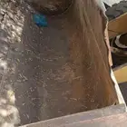 شيول 926 E