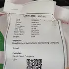 بذور برسيم امريكي كاف 101 باسفيك