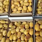 رطب غر 8ريال رطب خلاص 9ريال مبيعات جملة