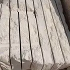 مصبات   مصبات  مصبات   حجر   ححر   حجر   حجر