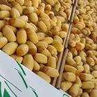 يوجد لدينا خراف سلج التواصل