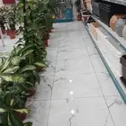مشتل تنسيق حدائق الورود لتوريد الأشجار والتيل