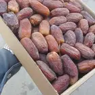 مطلوب خضري مجدول سعر طيب