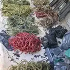 مجموعة كبيرة من الأسلاك الشفافة