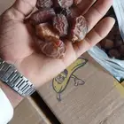 السلام عليكم ورحمة الله وبركاته يوجد لدينا مشكلات طيبه