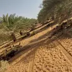 نحنو نقوم بجميع انواع العمال تكريب تنضيف تحويض وتوريد نخليل