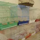 للبيع اقفاص جديده ستعمال 3 ايام فقط