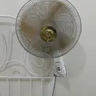 مروحه حائط كي دي كي الأصلية غنيه عن التعريف