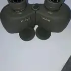 للبيع دربيل ألماني اصلي جديد