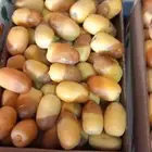 رطب اخلاص طازج من المزرعه مباشره