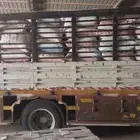 باقي تمر حلال حوالي 300كيس موقع رياض