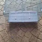 اقفاص طيور بفاصل