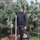 looking for a driving job in India