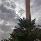مصور محترف
