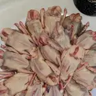 حمام جاهز لطبخ وارانب بريه البان الاغنام