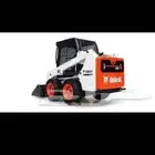 بوب كات الايجار