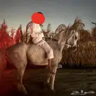 حصان واهو