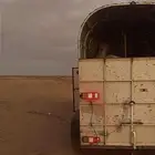 عربه خيل لنقل الخيل تبوك. والمناطق المجاوره