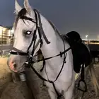 سرج ستيتوس