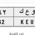 للبيع لوحه 262