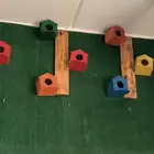 بياضات زيبرا ملونه