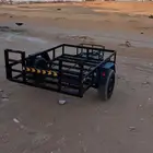 قلص بانشي