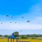 العاب مراجيه أطفال