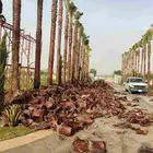 تكريب النخيل وترتيب الاشجار