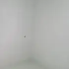 محمد حبيب معلم بويا مدين