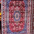 سجاد المناسبات زل زوالي