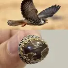 خاتم عقيق مصور شكل الصقر