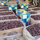 يوجد لدينا تمر خضري ومشكلات